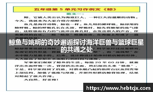 鲸鱼与姚明的奇妙邂逅探讨海洋巨兽与篮球巨星的共通之处